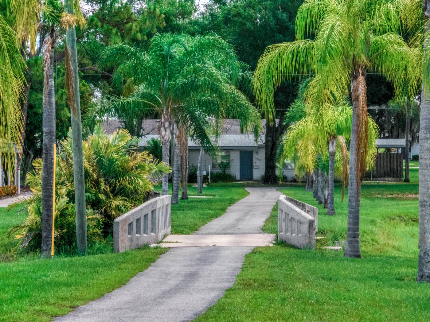 A footbridge over the canal, palms on either side, leading to a home