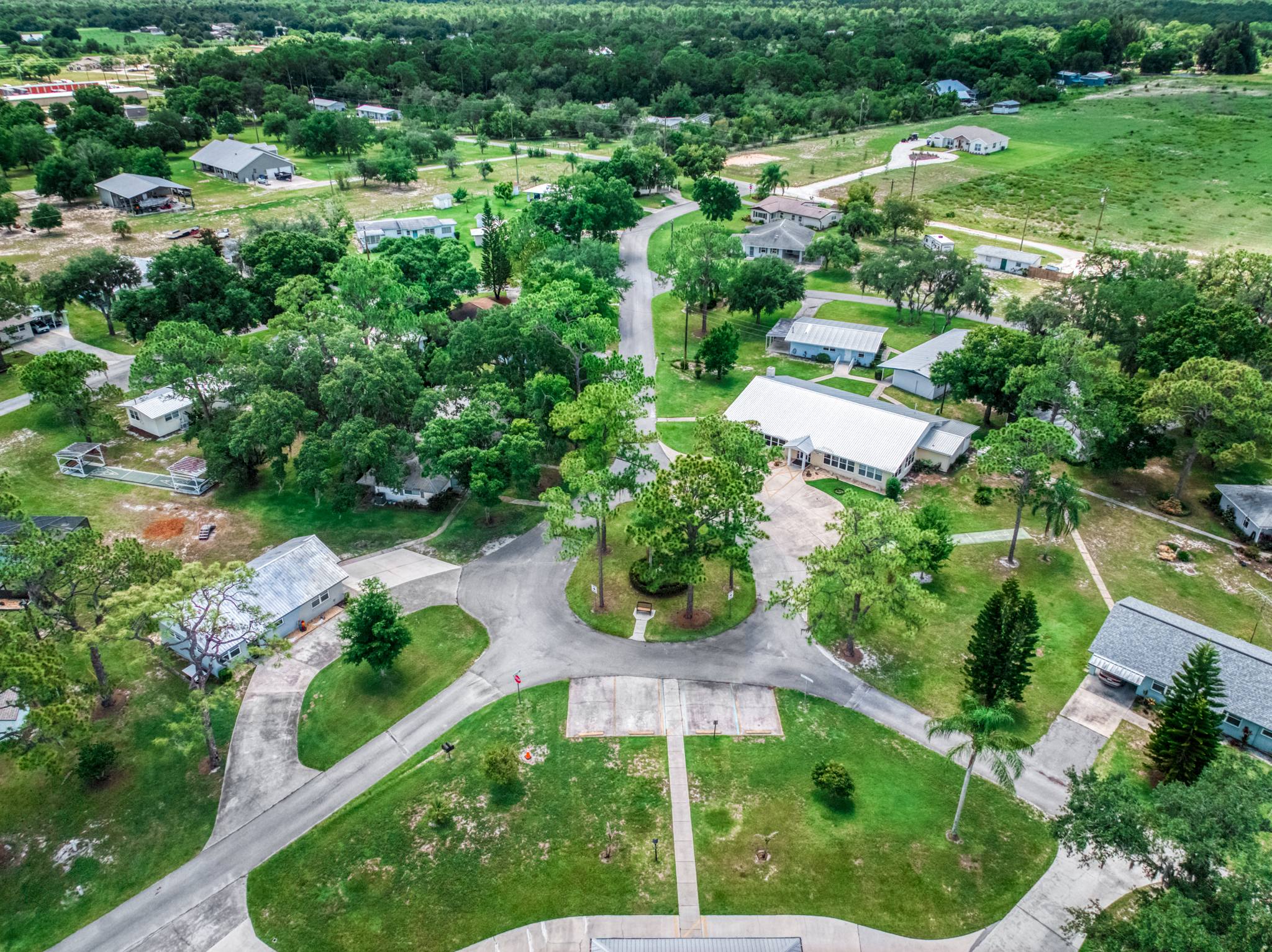 Homes around a cul-de-sac under live oaks, seen from above